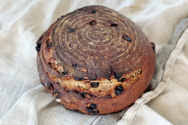 Holiday Walnut Cranberry Sourdough Loaf